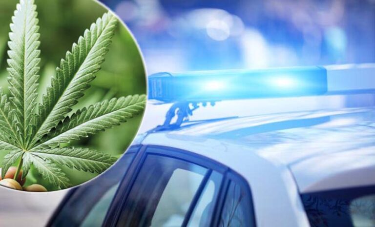 Marihuana Police