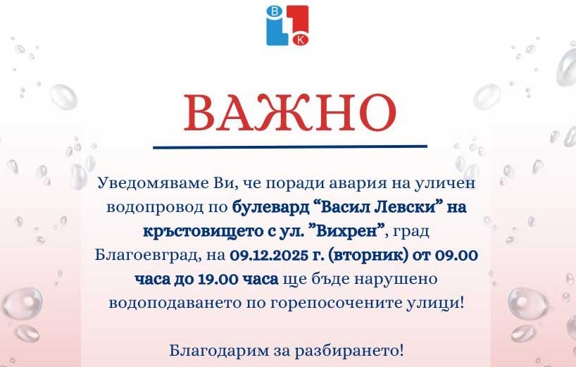 ViK