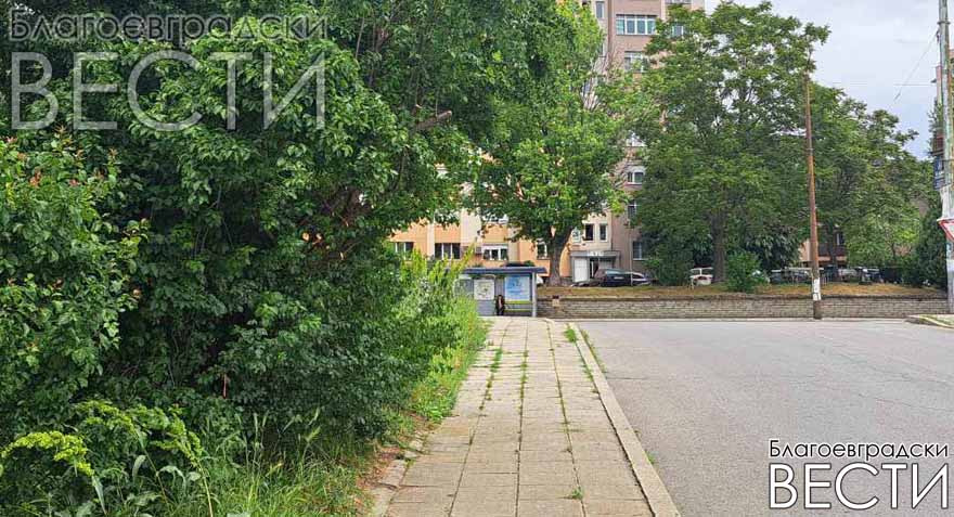 Kastrene
