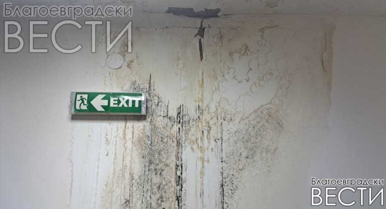 Зала „22 септември“ заприлича на стар винпром: мухъл, падаща мазилка и бъчви във фоайето
