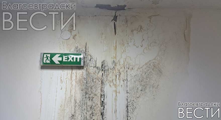 Зала „22 септември“ заприлича на стар винпром: мухъл, падаща мазилка и бъчви във фоайето