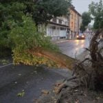 Десетки дървета паднаха в Благоевград след мощната буря, смачкани са автомобили и са блокирани улици