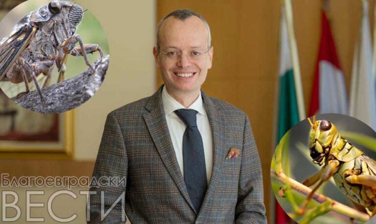 След публикация на „Благоевградски ВЕСТИ“: Кметът Методи Байкушев: „Мароканският скакалец не хапе. Ако влизат в жилището ви – мрежа на прозореца върши работа.“