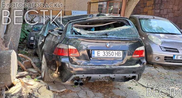 Кой ще плати щетите след бурята? Какво казва законът, ако паднало дърво смаже автомобил?