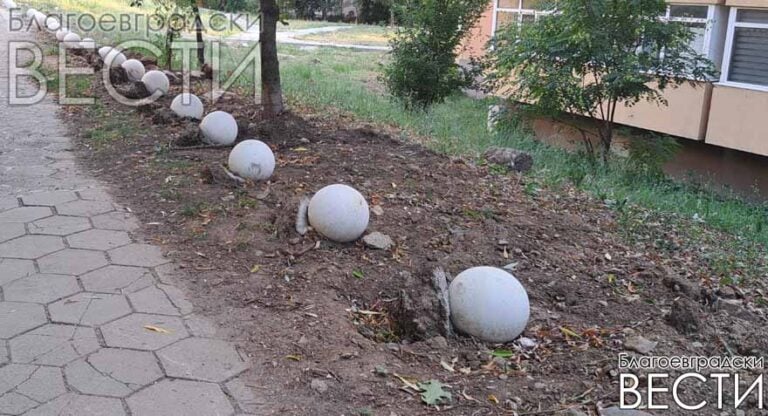 Parking elementi