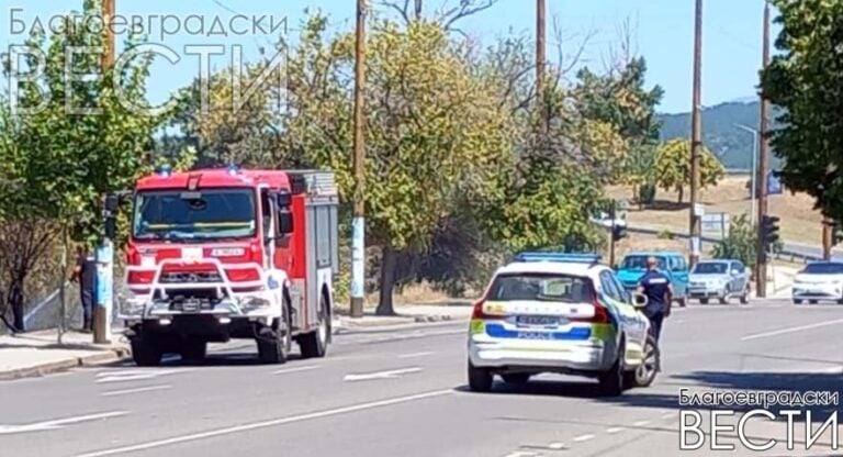 Горят сухи треви в Струмско, огнеборци се борят с пламъците