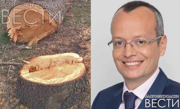 M. Baykushev